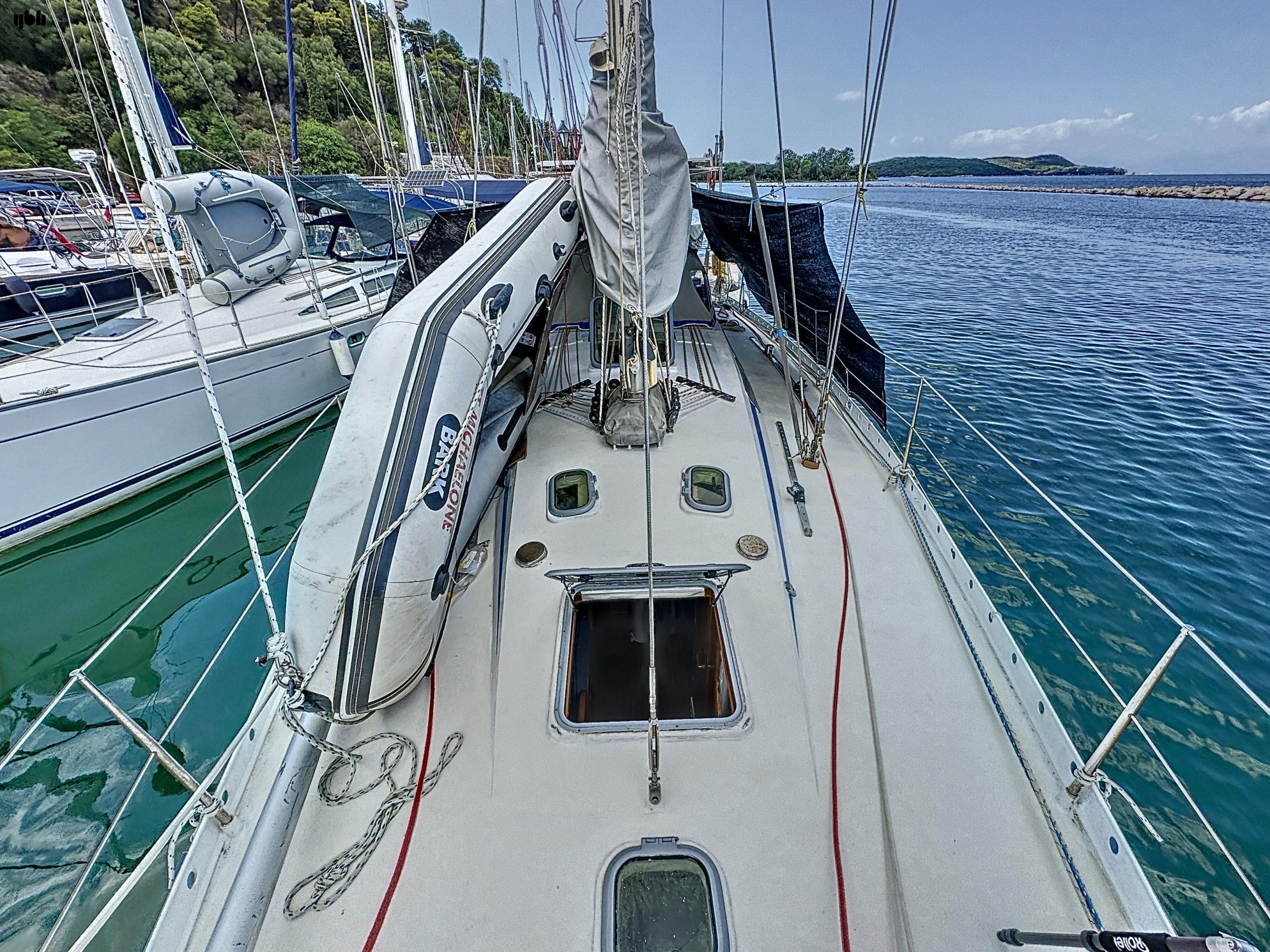 1994 Levrier de Mer 47